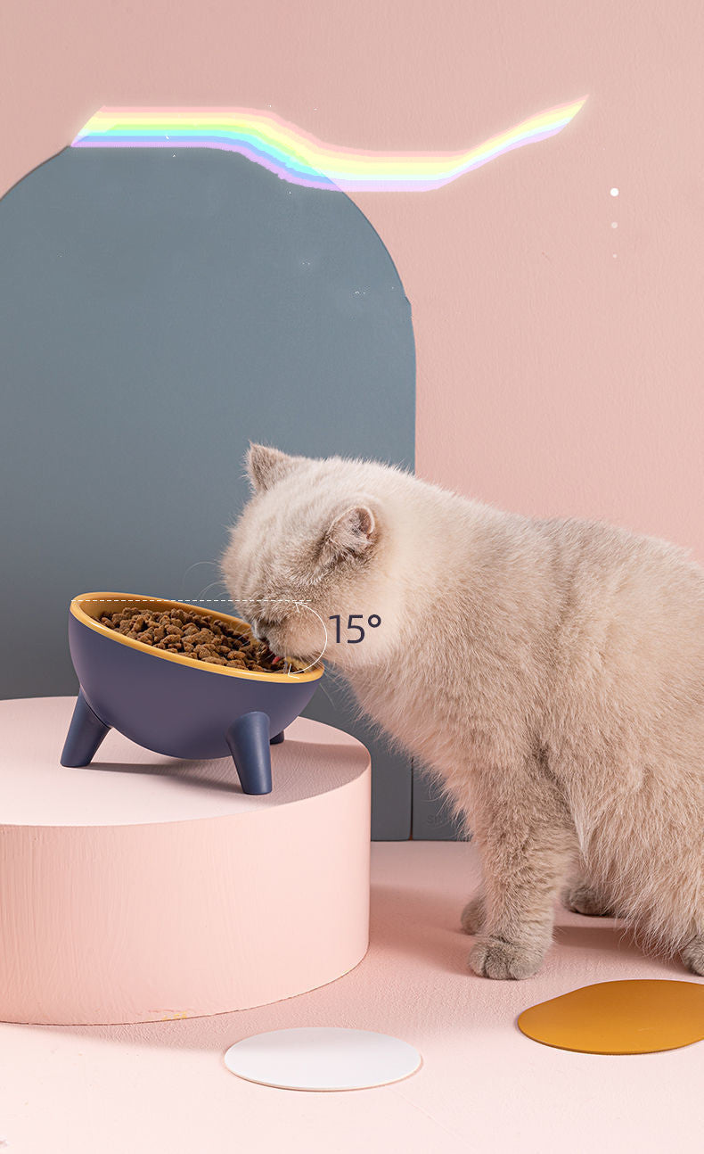 Ergonomic Elevated Bowl with 15 Degree Tilt