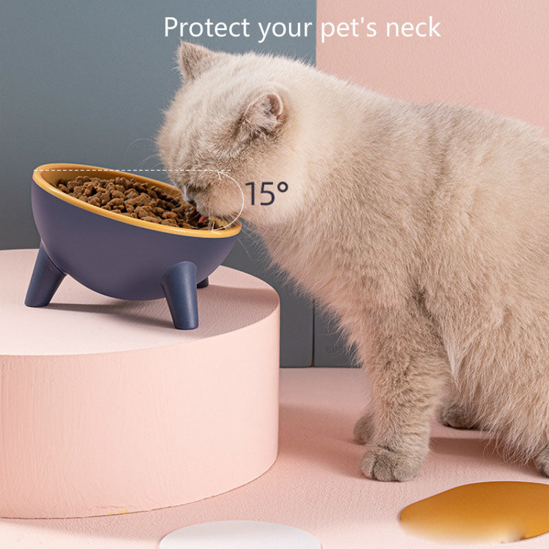 Ergonomic Elevated Bowl with 15 Degree Tilt