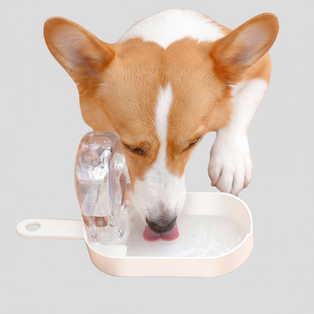 Portable Dog Water Bottle with Food Container