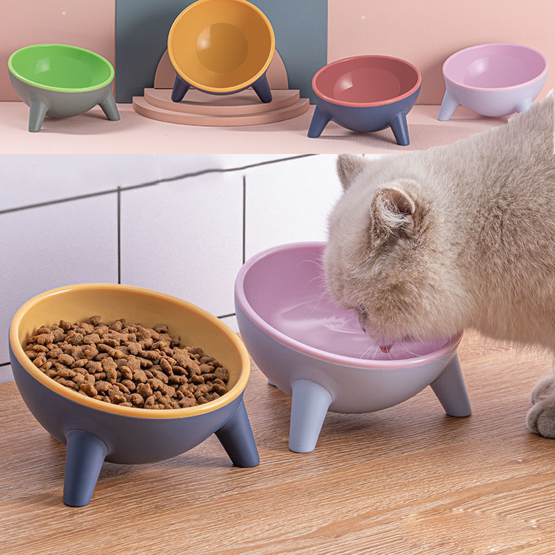 Ergonomic Elevated Bowl with 15 Degree Tilt