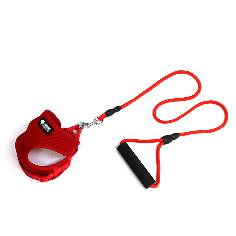 Komfortables Hundeleinen-Set mit Halsband!
