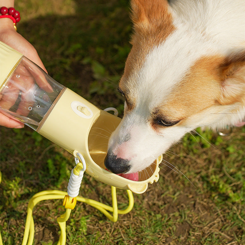 Practical 2-in-1 Water Bottle with Food Container