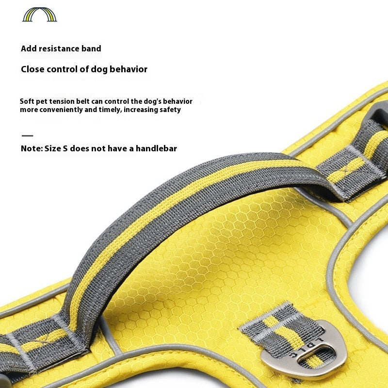 No-Pull Reflective Dog Harness for Safe Night Walks