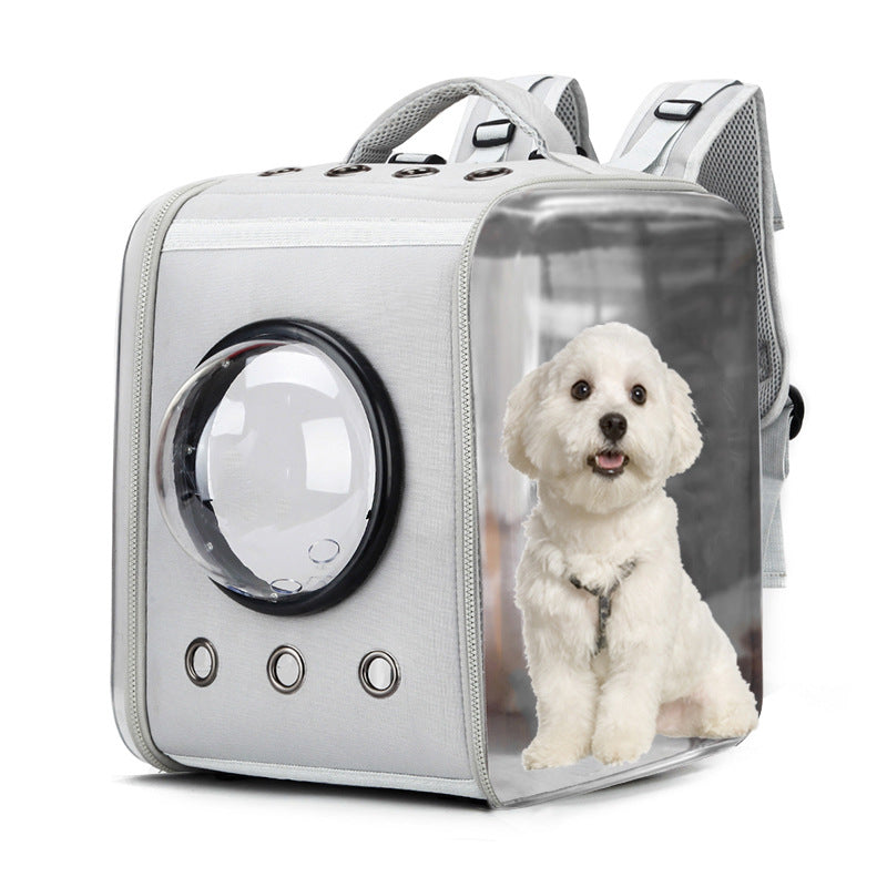 Modern Transparent Space Capsule Cat Backpack