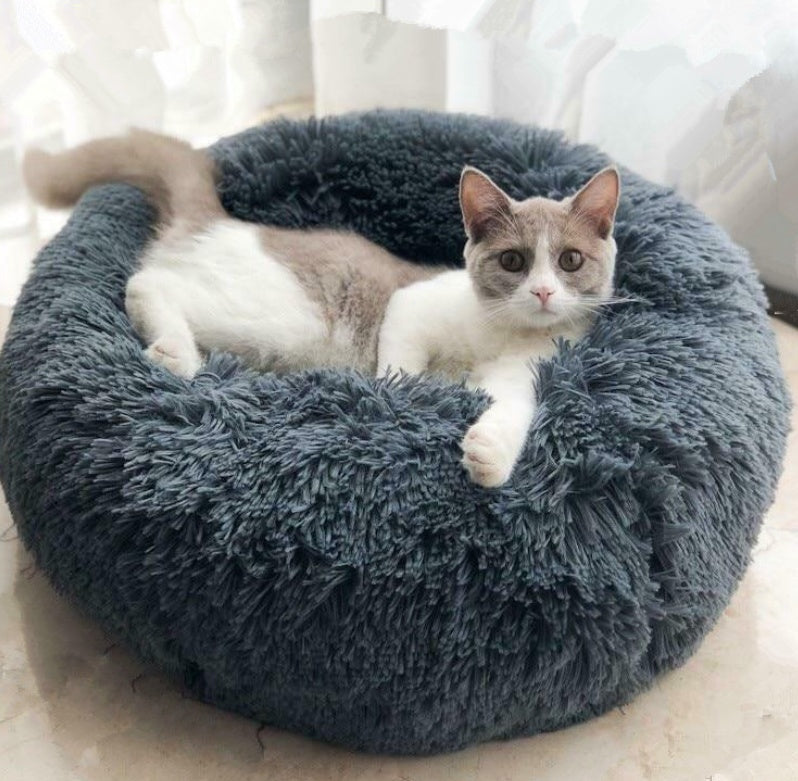 Pet Comfort Essentials