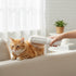 Reusable Pet Hair Remover Brush