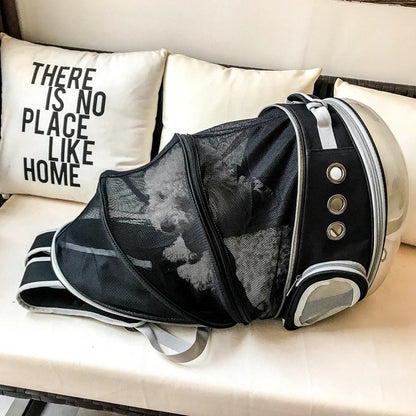 Innovative Expandable Pet Bag