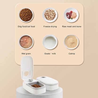 Automatic 2-in-1 Gravity Feeder