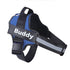 Reflective Dog Harness for Walking