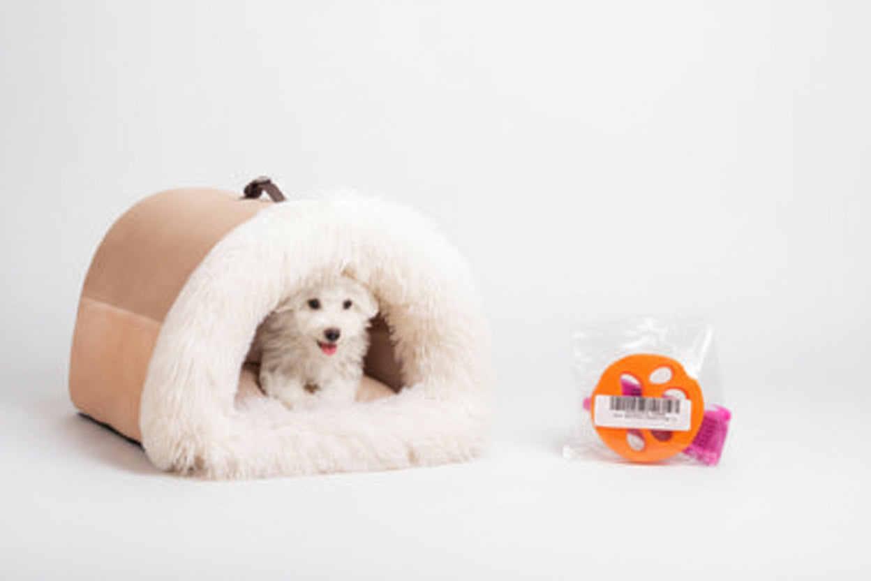 Calming Plush Pet Bed for Cats &amp; Small Dogs shown with a small dog inside a cozy, semi-enclosed design for comfort.