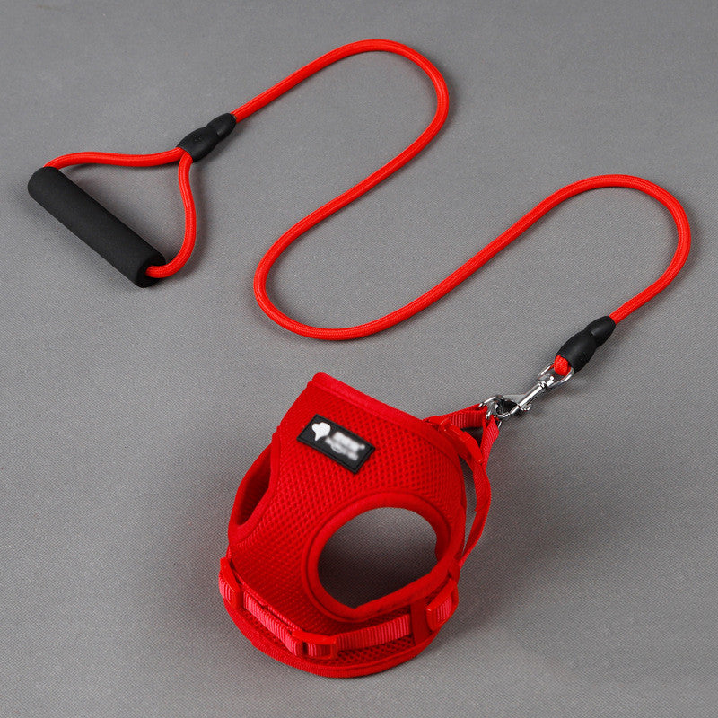Komfortables Hundeleinen-Set mit Halsband!