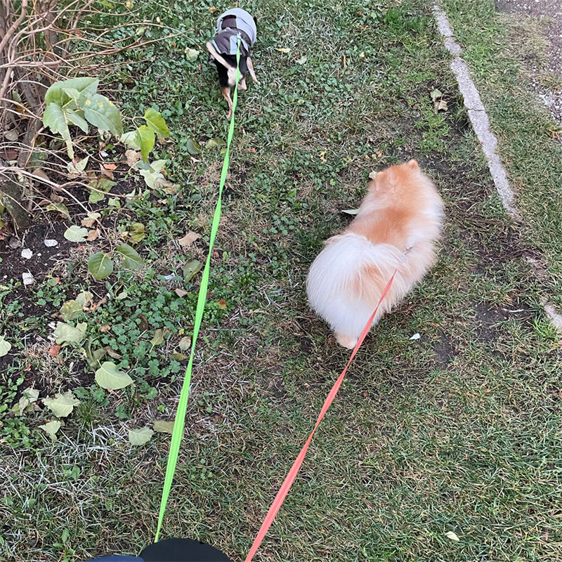 Retractable Double Dog Leash with LED Light