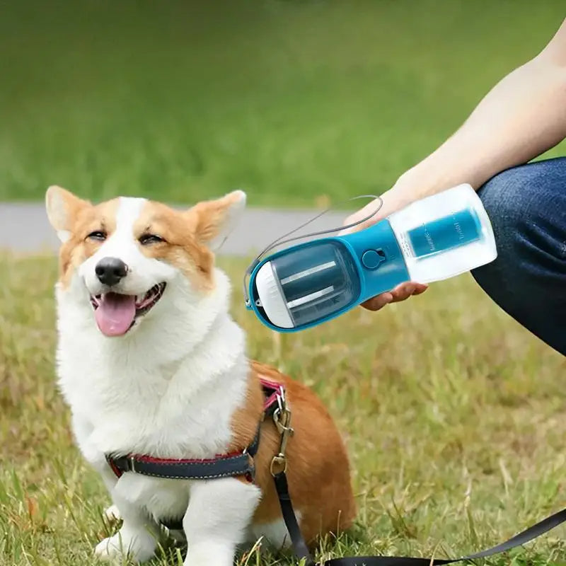 Multifunctional 3-in-1 Dog Water Cup
