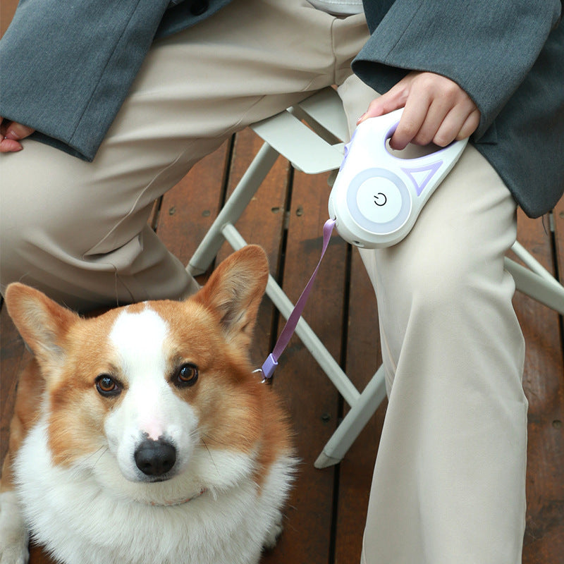 Retractable Dog Leash for Walking