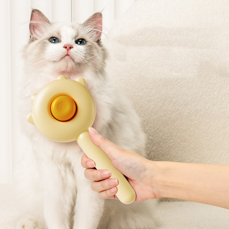 Hand holding a Magic Hair Removal Massage Brush for gentle grooming of a fluffy cat.