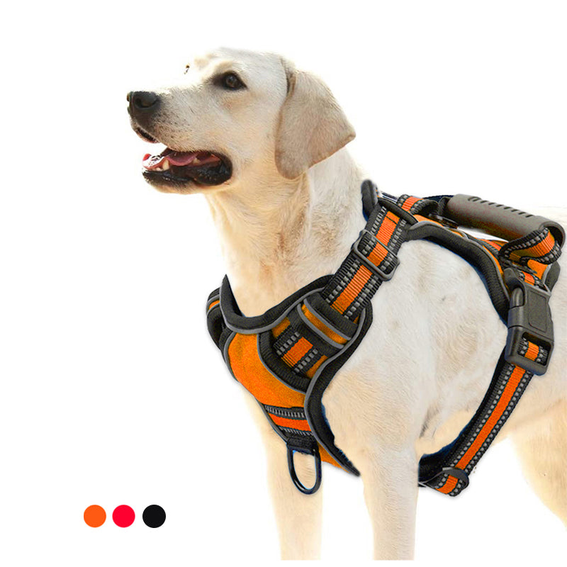 No Pull Dog Harness for Walking